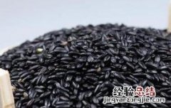 黑米掉色吗 正常黑米掉色吗