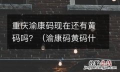 渝康码黄码什么情况 重庆渝康码现在还有黄码吗？