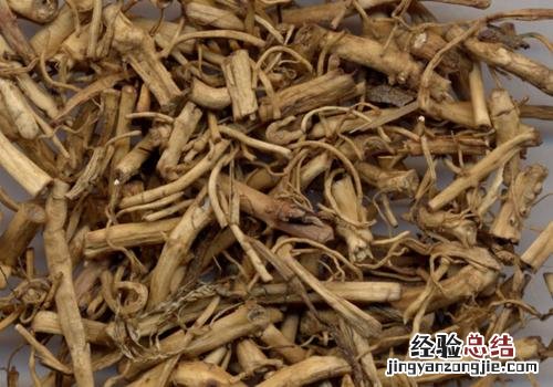 白前的营养价值
