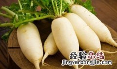 萝卜的做法大全家常菜 萝卜的做法