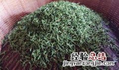 自己摘的茶叶怎么炒 自己采摘的茶叶怎么炒