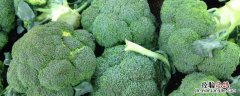 西兰花种植管理技术，株距和行距分别是多少