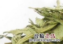 甜菊叶茶的泡法与功效图片 甜菊叶茶的泡法与功效