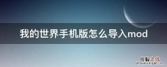 我的世界手机版怎么导入mod到服务器 我的世界手机版怎么导入mod