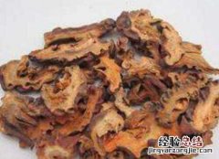 木瓜草药的功效与作用是什么 木瓜草药的功效与作用