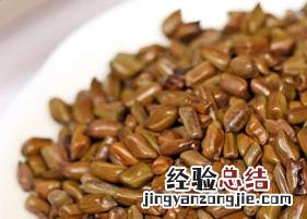 降压茶有哪些