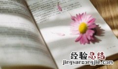 事物的性质主要是由什么决定的 事物的性质主要由什么决定的?
