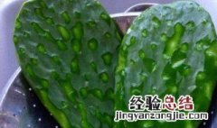 吃鸡卡在仙人掌里怎么办 吃鸡人物卡住了怎么办