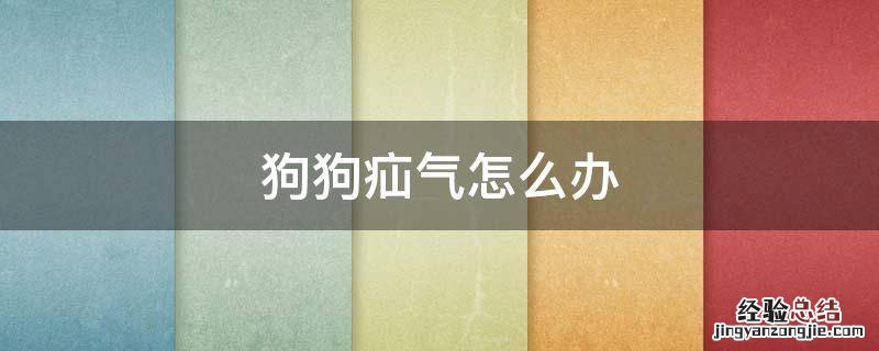 狗狗疝气怎么办 狗狗疝气怎么办用什么药