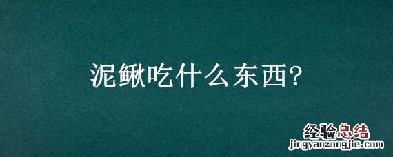 泥鳅吃什么东西糊涂县令郑板桥第二集 泥鳅吃什么东西?