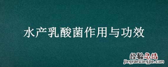 水产乳酸菌作用与功效 乳酸菌用于水产