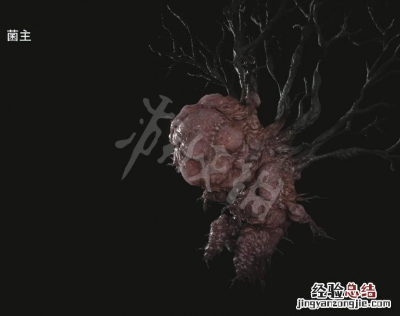 生化危机8生化人 生化危机8人物有哪些