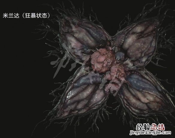 生化危机8生化人 生化危机8人物有哪些