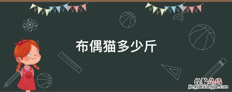 布偶猫多少斤 1岁的布偶猫多少斤