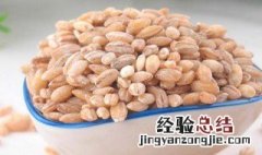 用酒泡麦粒可以钓鲫鱼吗 酒泡麦粒的方法