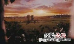 情不知所起一往情深缘不问何灭尘世红渊这句话是什么意思 情不知所起一往情深释义
