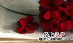 一眼惊鸿的温柔诗句 让人惊艳的诗句