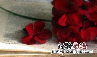 一眼惊鸿的温柔诗句 让人惊艳的诗句