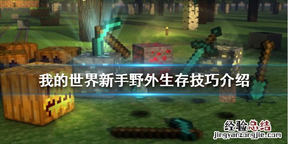 我的世界新手如何在野外生存视频 我的世界新手如何在野外生存