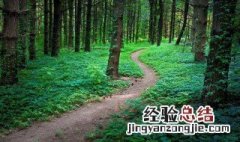 森林的主要作用有什么 森林的作用主要有哪些