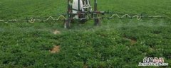 阴天打药作物能吸收吗，阴天打药好还是晴天打药好