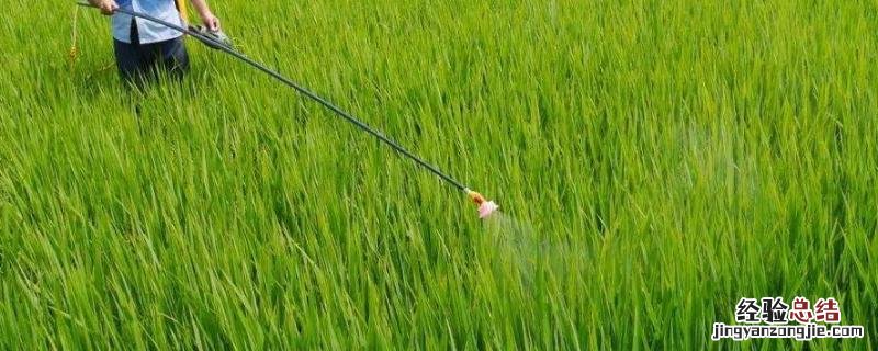 虱螨脲主要杀什么虫，安全期是多久 虱螨脲主要杀什么虫卵
