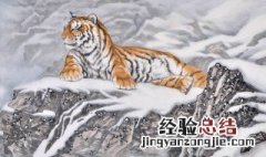 下山虎的含义 下山虎是什么意思