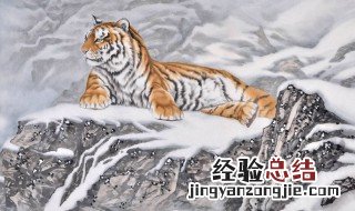 下山虎的含义 下山虎是什么意思