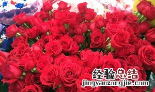 情人节送什么花 你都了解吗