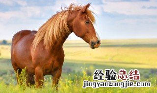 马说拼音版 马说拼音版读音