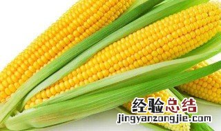 玉米深加工做什么 玉米如何深加工提高价值