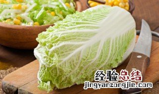 大白菜汤的做法大全 菜汤的做法大全