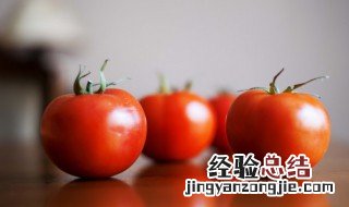 西红柿如何去皮 怎么去除西红柿的皮