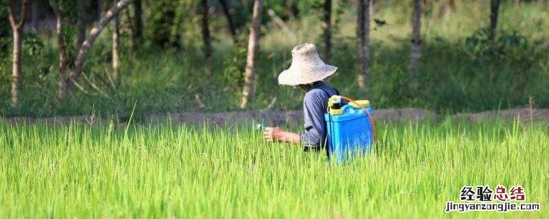 恶唑菌酮不能和什么配，作用是治疗还是保护