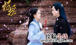 电视剧招摇姜武结局 招摇剧情介绍