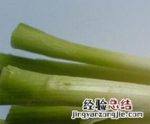 葱白的营养价值与功效作用 葱白的营养价值与功效