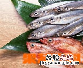 鲢鱼的做法 鲢鱼的做法简单又好吃视频