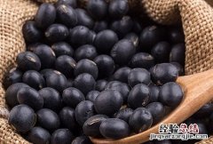 黑豆 黑豆怎样吃最好