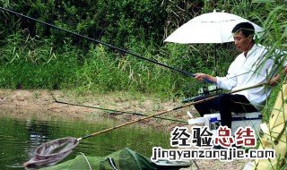 武藏湖能钓鲫鱼吗 武藏湖全面禁止捕捞