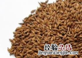 冬天喝什么茶最养胃 冬天喝什么茶最养胃护肝