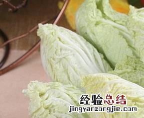 白菜的功效与作用及营养价值 白菜的功效与作用