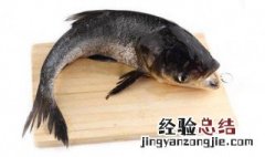 鲢鱼怎么钓 这样钓很成功