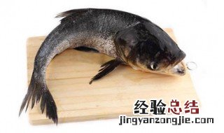 鲢鱼怎么钓 这样钓很成功