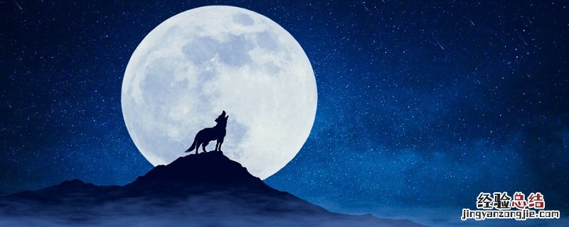 笨狼上学的故事 笨狼上学的故事教案