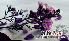 公而忘私国而忘家是什么意思 国而忘家公而忘私出自什么文献