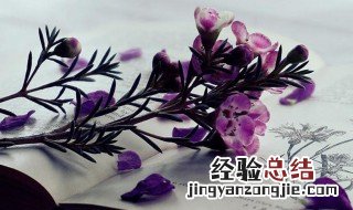 公而忘私国而忘家是什么意思 国而忘家公而忘私出自什么文献