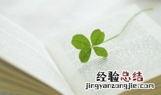 琛的拼音 琛的组词