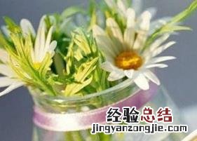 伯爵茶的功效与作用是什么 伯爵茶的功效与作用