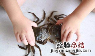 吃螃蟹的正确方法 螃蟹有什么营养价值