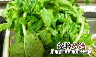 萝卜叶子怎么做好吃 怎么做萝卜叶子好吃